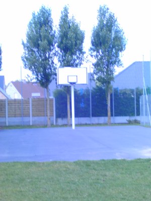 Terrain basket